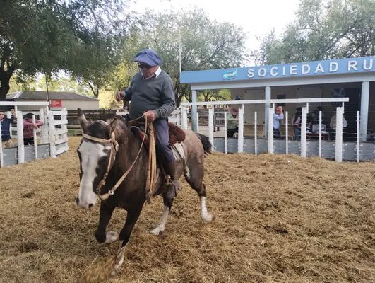 tn_IMG_20250409_165641968