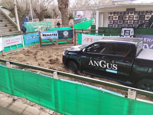 tn_IMG_20240625_112707824