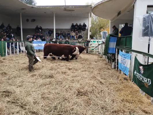 tn_IMG_20240601_122121957