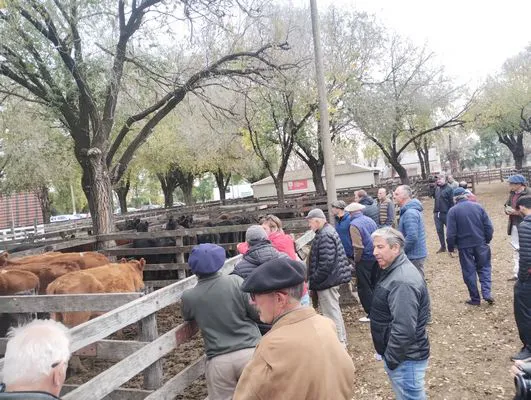 tn_IMG_20250602_154057655