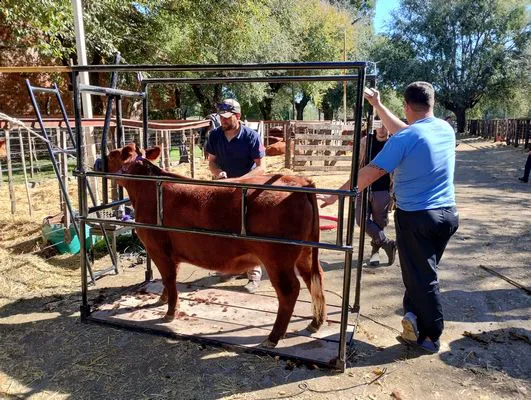 tn_IMG_20240502_123345268_HDR