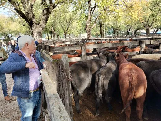 tn_IMG_20240430_160234113_HDR