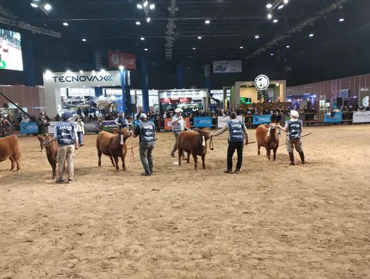 tn_IMG_20250520_161751106