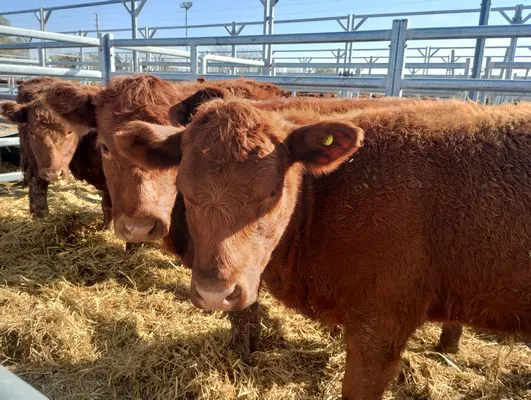 tn_IMG_20250604_133844147_HDR