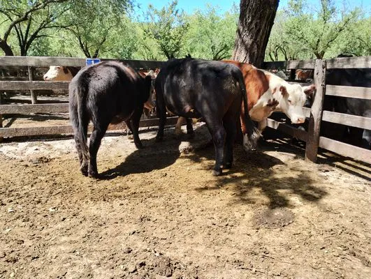 tn_IMG_20240214_150423346_HDR