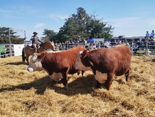 tn_IMG_20240927_152403318