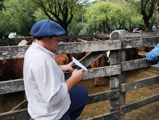 tn_IMG_20240306_153623318