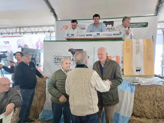 tn_IMG_20240815_141939357_HDR