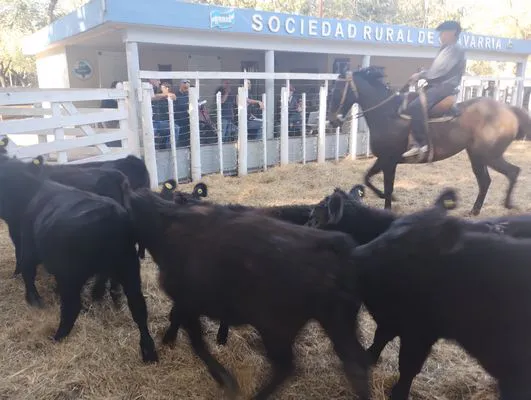 tn_IMG_20250409_153142281