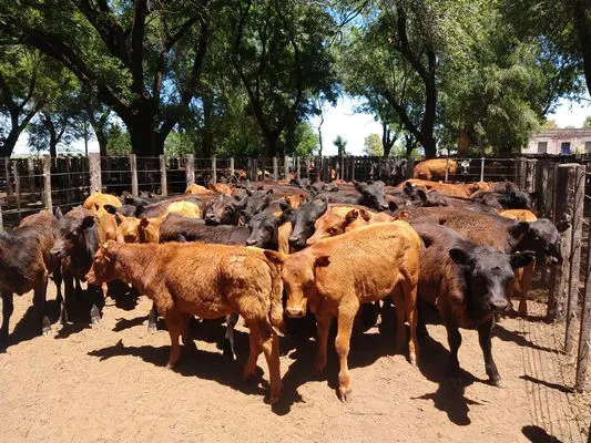 tn_IMG_20231213_131116524