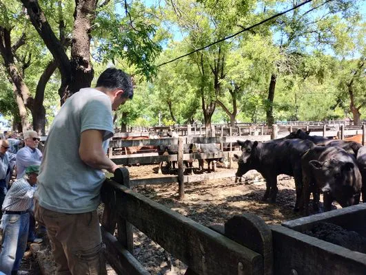 tn_IMG_20241129_140721985_HDR