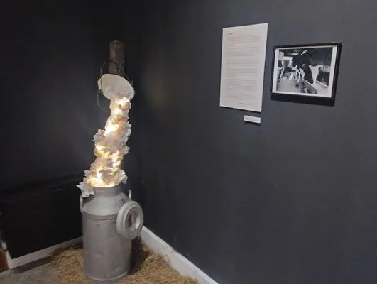 tn_IMG_20241015_185522869_HDR