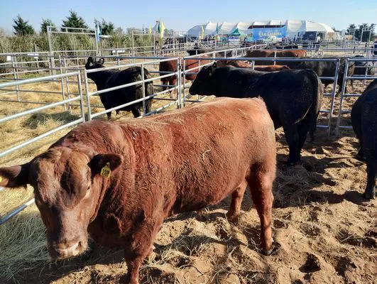 tn_IMG_20240711_112632901_HDR