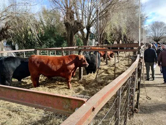 tn_IMG_20240625_121827500_HDR