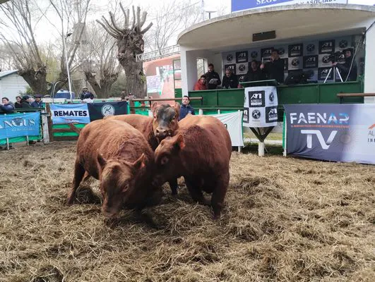 tn_IMG_20240625_161337295