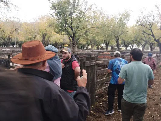 tn_IMG_20250425_155936334_HDR