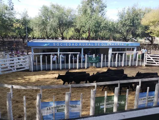 tn_IMG_20250321_162229798