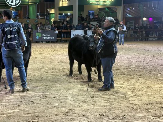 T19