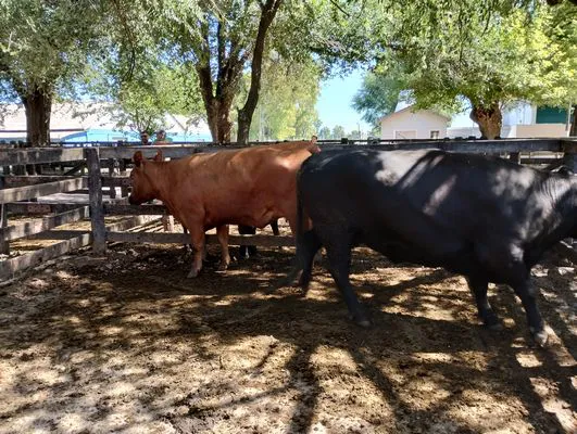 tn_IMG_20240214_151515906_HDR