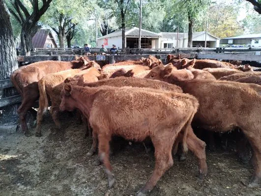 tn_IMG_20240430_152616159