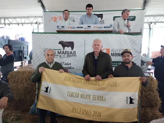 tn_IMG_20240815_142105299