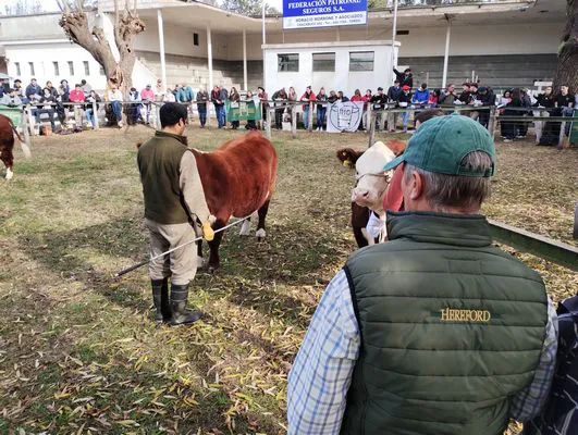 tn_IMG_20240530_142932591