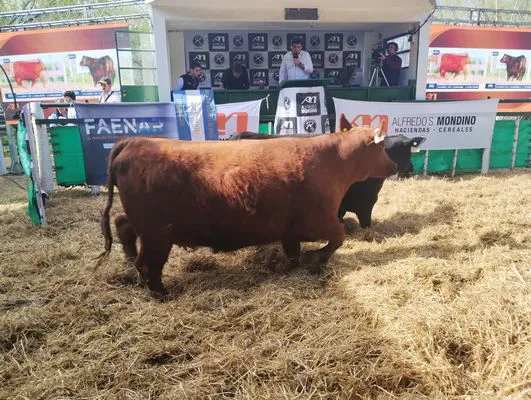 tn_IMG_20240907_150016133