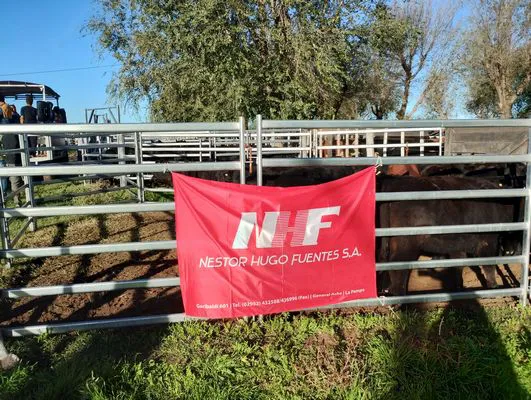 tn_IMG_20250424_171113525_HDR