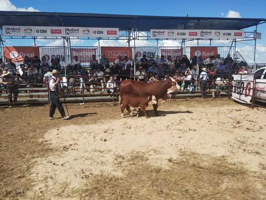 tn_IMG_20250313_150720101