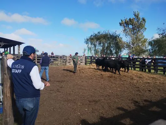 tn_IMG_20250409_101808000