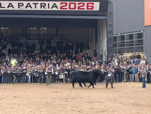 T17
