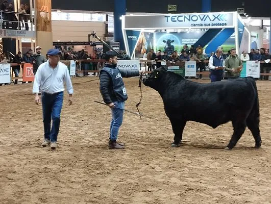 tn_IMG_20240522_163508153