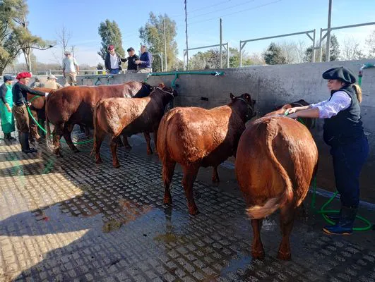 tn_IMG_20250604_140747782_HDR