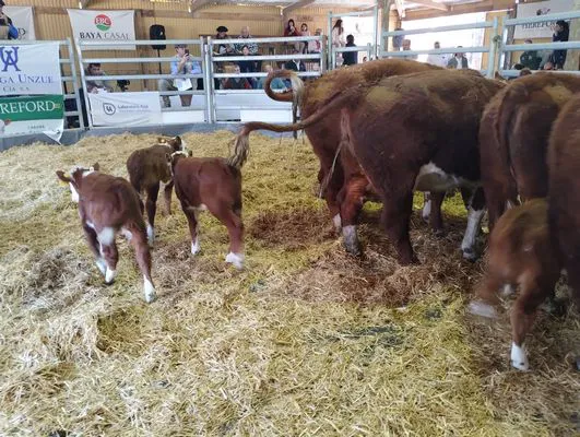 tn_IMG_20240906_160820344