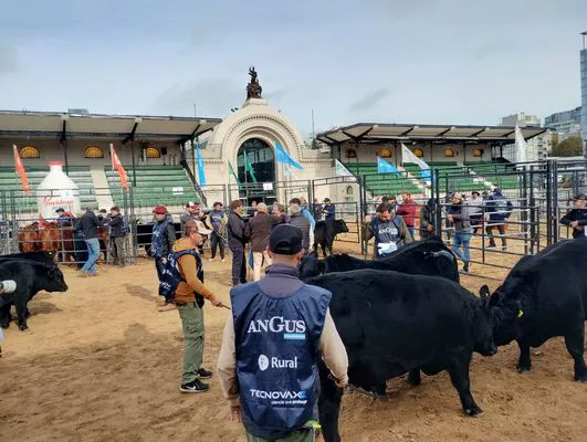 tn_IMG_20240522_105843668_HDR