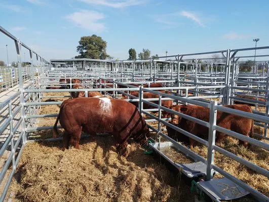 tn_IMG_20250604_123555713