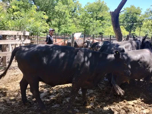 tn_IMG_20241129_141319423_HDR