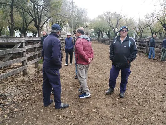 tn_IMG_20250602_153824698