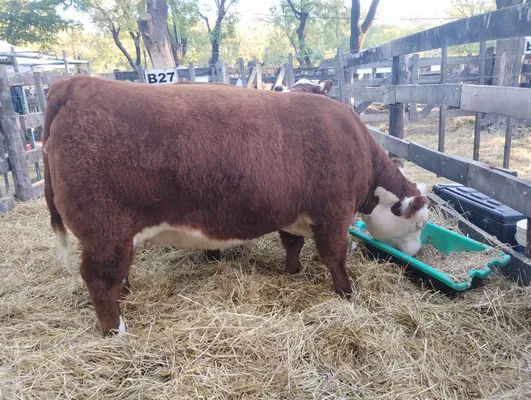 tn_IMG_20250508_172733760