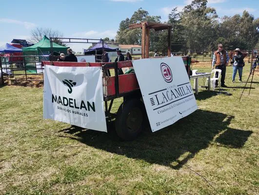 tn_IMG_20240927_115934423