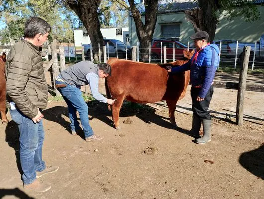 tn_IMG_20241002_091953990_HDR