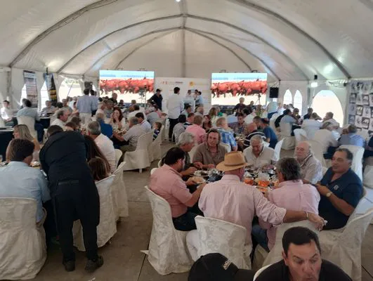 tn_IMG_20241122_131931324_HDR