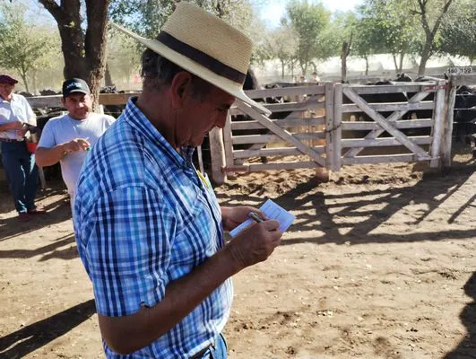 tn_IMG_20240406_161726445_HDR