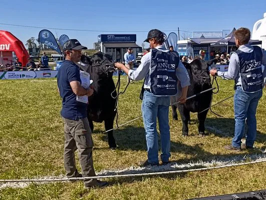 J24
