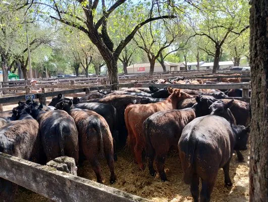 tn_IMG_20241008_145700912_HDR