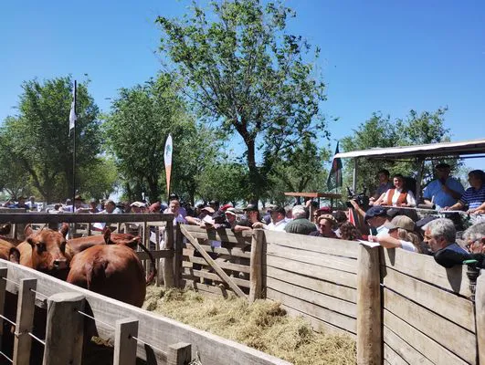 tn_IMG_20241026_113704875