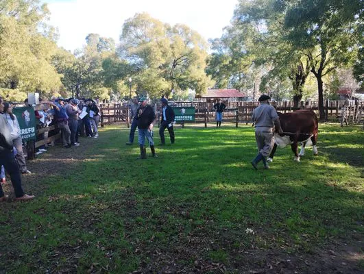 tn_IMG_20250508_152702798