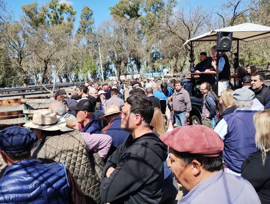 tn_IMG_20240925_133933433