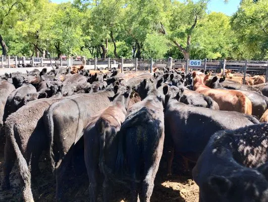 tn_IMG_20241129_150624363_HDR