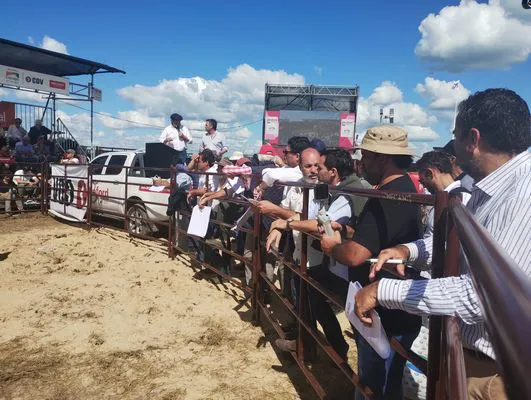 tn_IMG_20250313_150723343